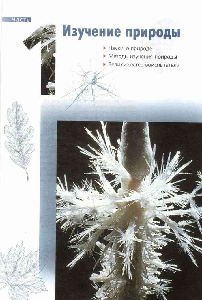 Книга природоведение ильченко читать онлайн 6 классс