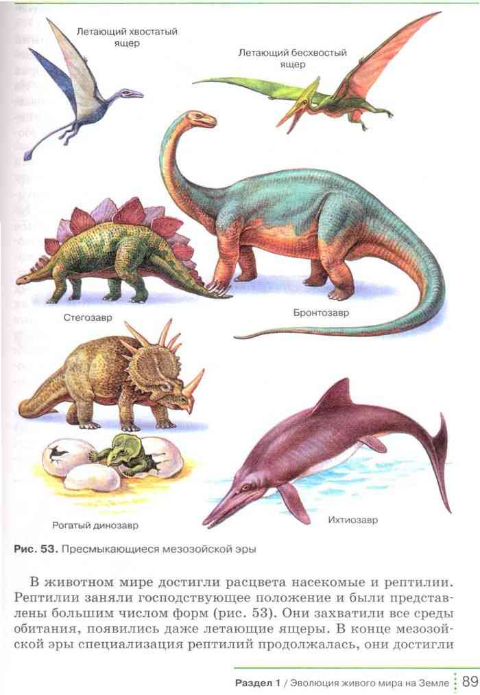Пресмыкающиеся мезозойской эры. Динозавры ящеры мезозоя книга. Мезозойская Эра Бронтозавр. Древние пресмыкающиеся, древние рептилии. Древние рептилии мезозоя.