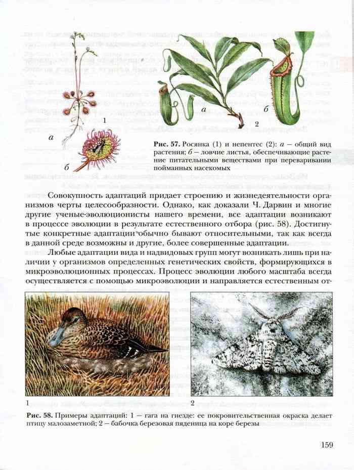 Биология 9 класс пономарева корнилова чернова учебник