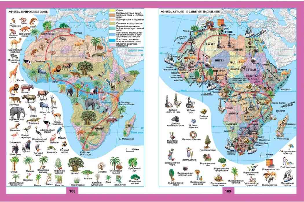 Африки животный география. Карта растительности Африки в атласе по географии. Растительный и животный мир Африки карта. Карта Африки географическая с животными и растениями. Карта растительности Африки.