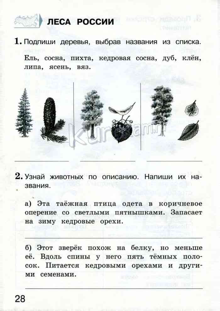 Леса россии тест 4 класс окружающий мир