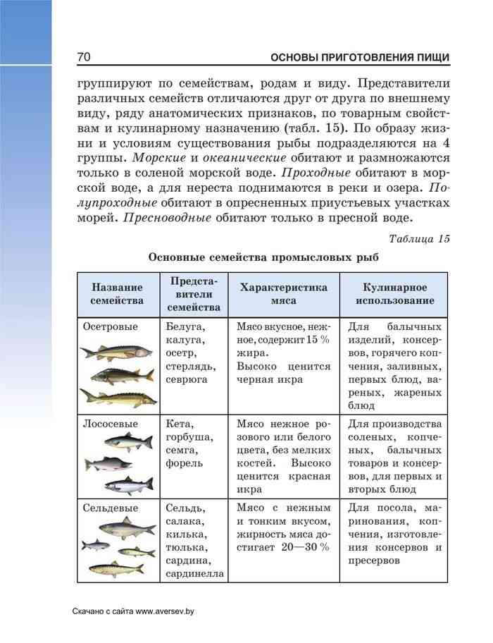 Таблица рыбы 8 класс биология